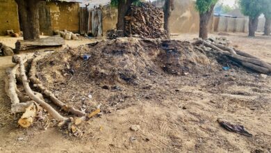 A rural setting with a mound of dirt, stacks of firewood, mud walls, and trees.