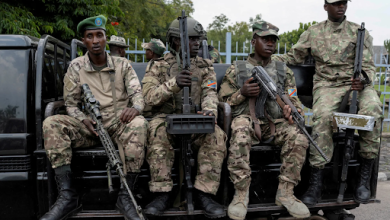 Four soldiers in camouflage uniforms with rifles sit on the back of a vehicle, in front of a fence and trees.